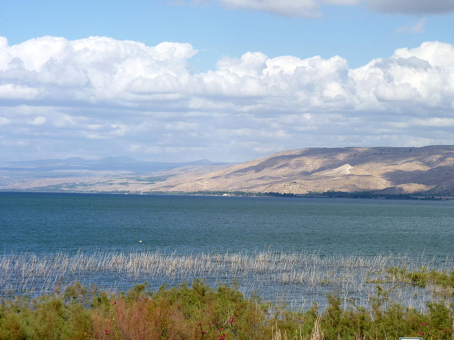 All is Right By The Kinneret Photograph by Rita Adams