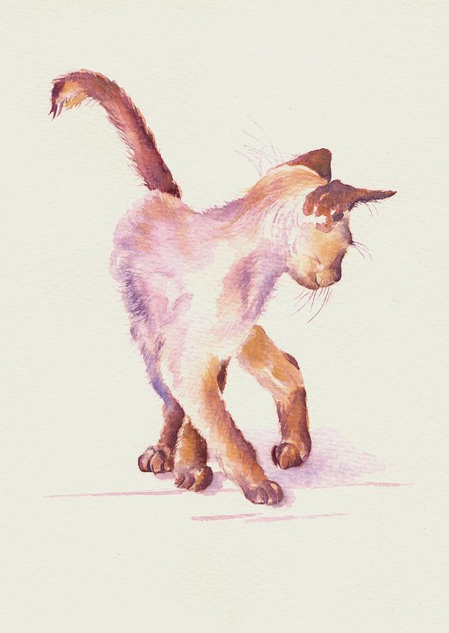 Cat Painting - Siamese Kitten -  All Legs and Mischief by Debra Hall