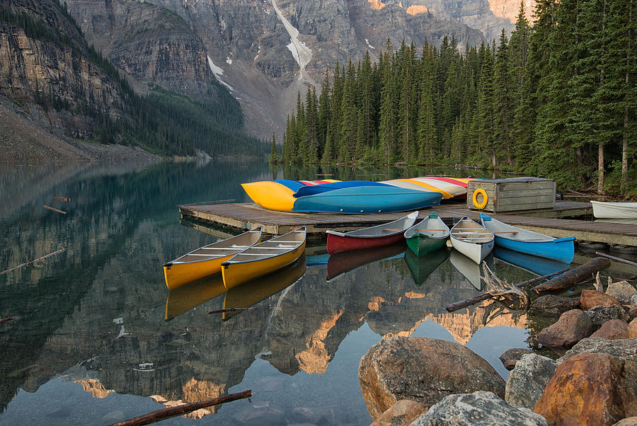 Banff National Park Photograph - All Lined Up by Darlene Bushue