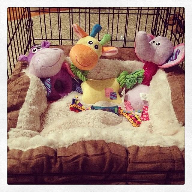 Nesting Photograph - All Ready For #littlemissroo To Arrive by Danielle White