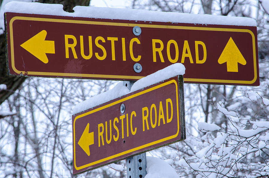 All Roads Lead to Rustic Photograph by Susan McMenamin