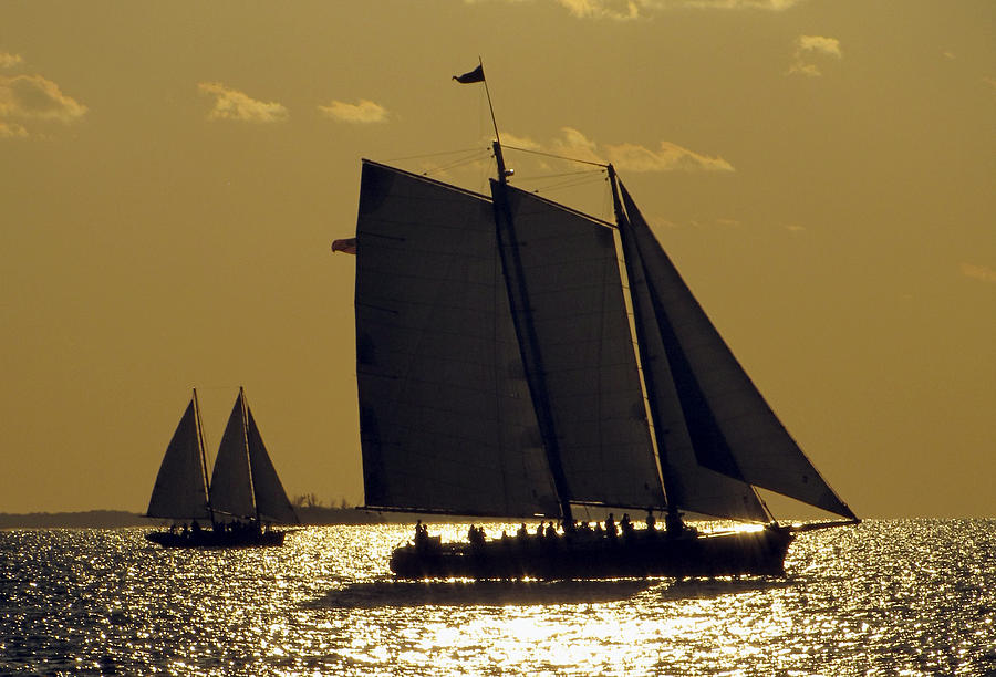 All Sails Sunset in Key West Photograph by Bob Slitzan