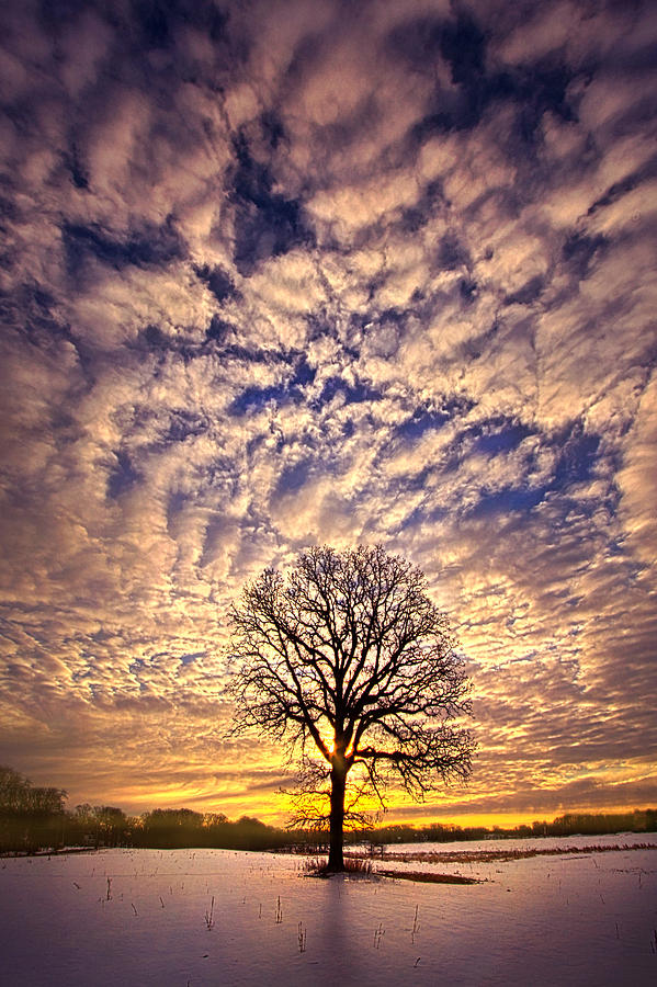 All That Still Matters Photograph by Phil Koch