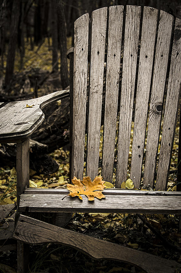 Fall Photograph - All Thats Left by Sandra Parlow