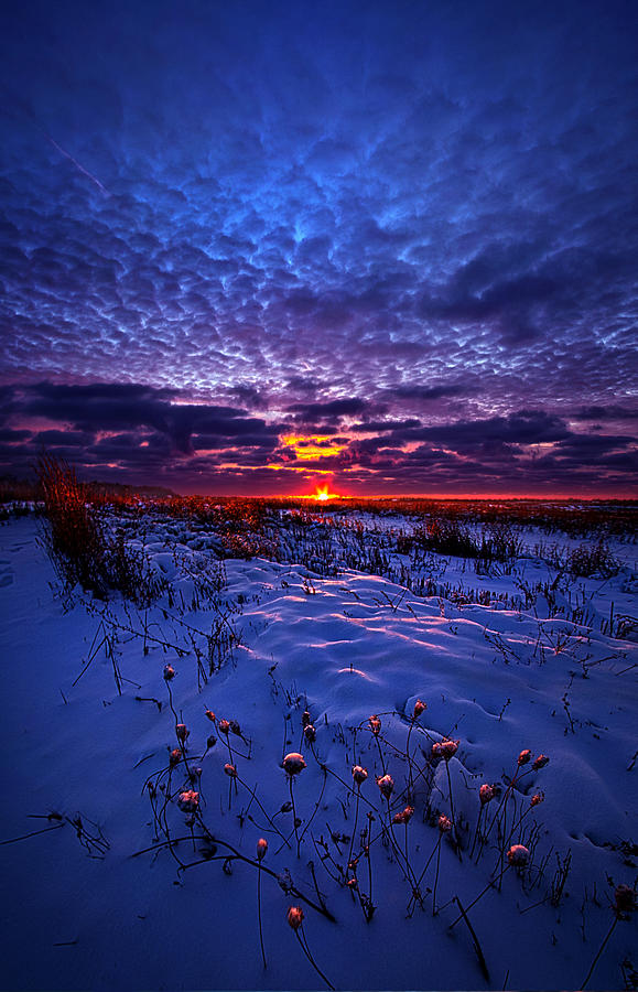 Winter Photograph - All The Dreams I Used To Know by Phil Koch