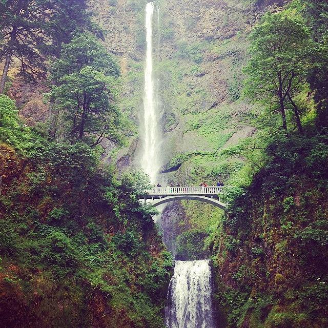 Portland Photograph - All The Way To The Top #multnomahfalls by Kelly Boich