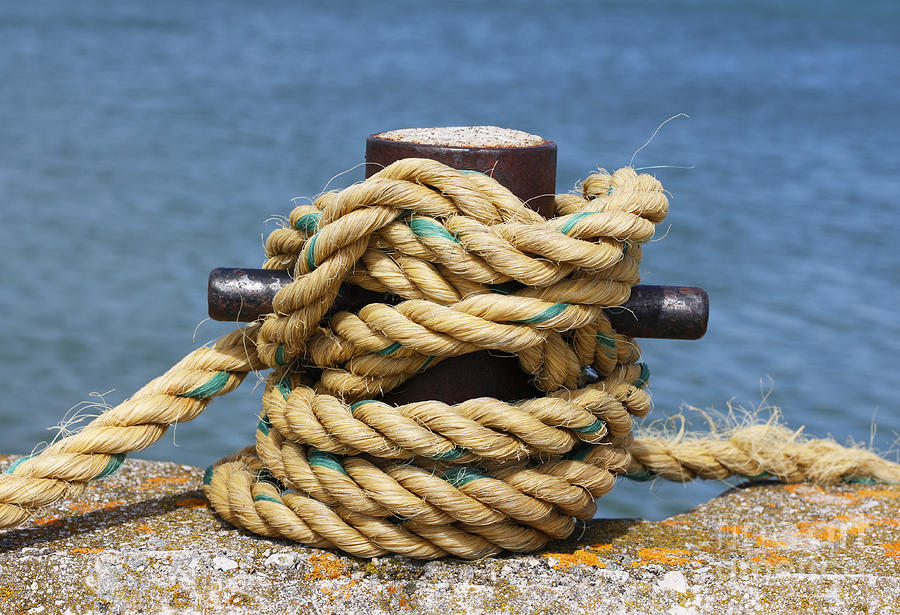 Rope Photograph - All Tied Up by Barbara McMahon