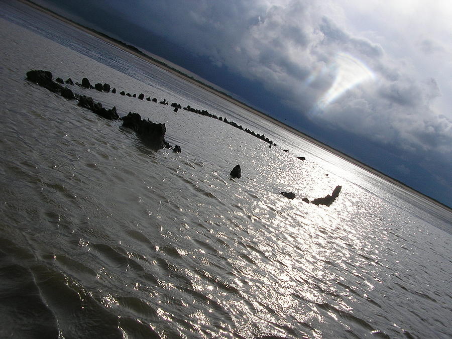 All Washed Up Photograph By Morgan Mcnamara Fine Art America