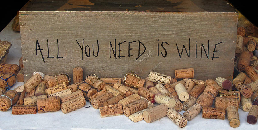 All You Need Is Wine Photograph by Dave Mills