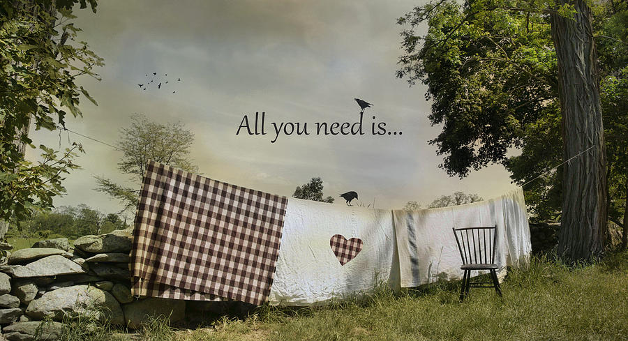 All You Need Photograph by Robin-Lee Vieira