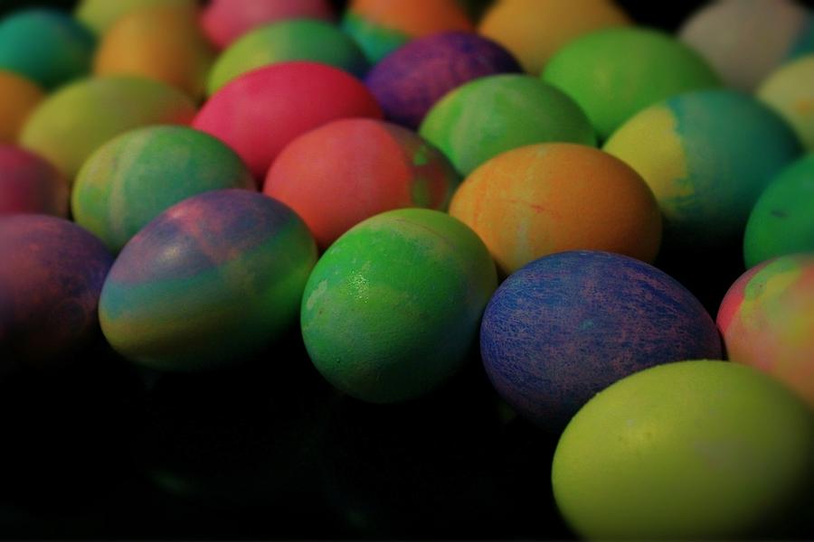 All Your Eggs Photograph by Elizabeth Sullivan