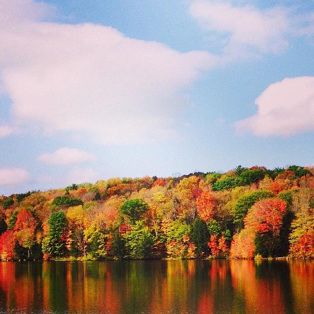 Nature Photograph - Allegheny State Park 🍂 #fall #autumn by Alex Pazik