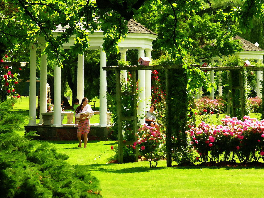 Allentown PA - Walk in the Rose Gardens Photograph by Jacqueline M Lewis