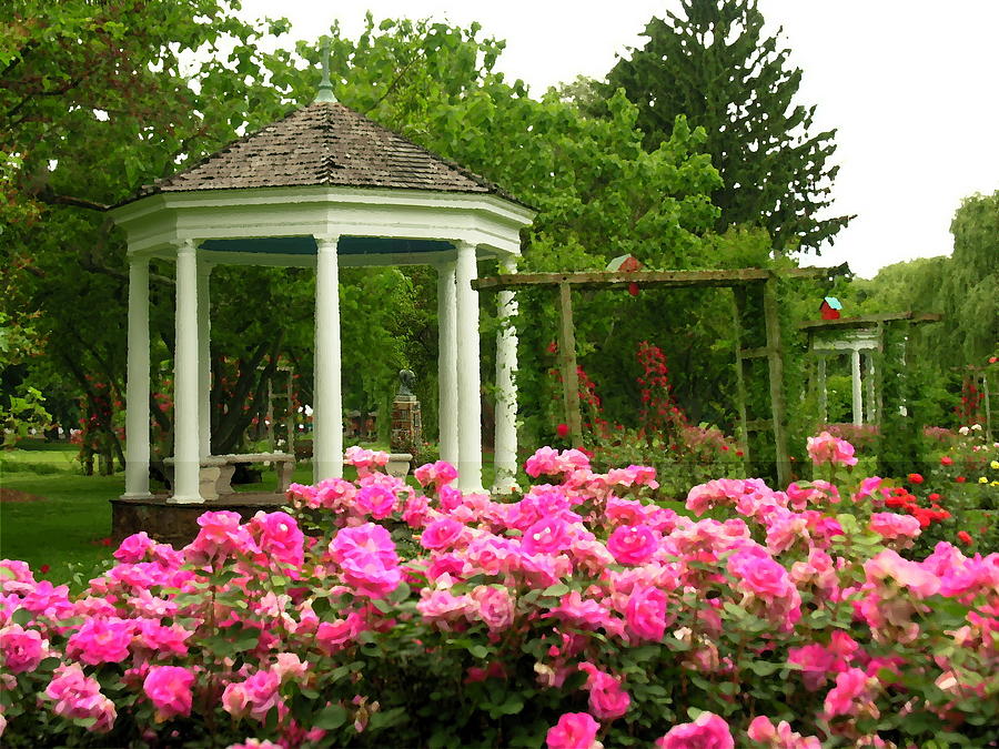 Allentown PA Gross Memorial Rose Gardens Photograph by Jacqueline M Lewis