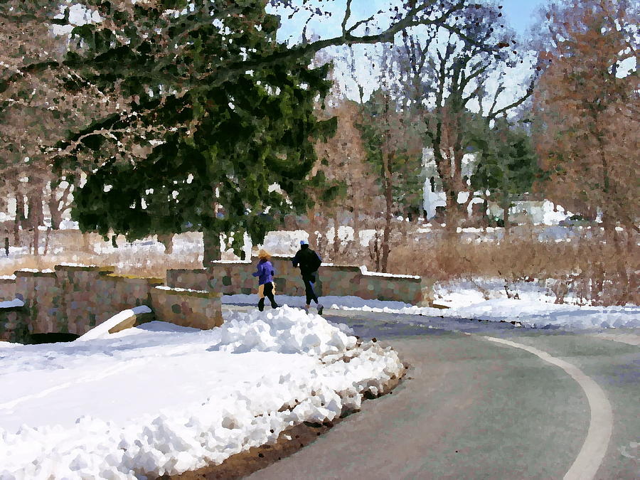 Allentown PA Trexler Park Winter Exercise Photograph by Jacqueline M Lewis