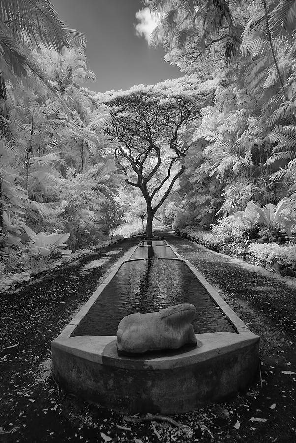 Allerton Gardens Three Pools by Michael Yeager Allerton Gardens Three Pools by Michael Yeager
