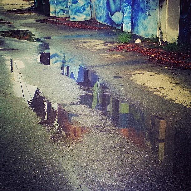 Landscape Photograph - #alley #art #reflections #sarasota by Lydia Gottardi
