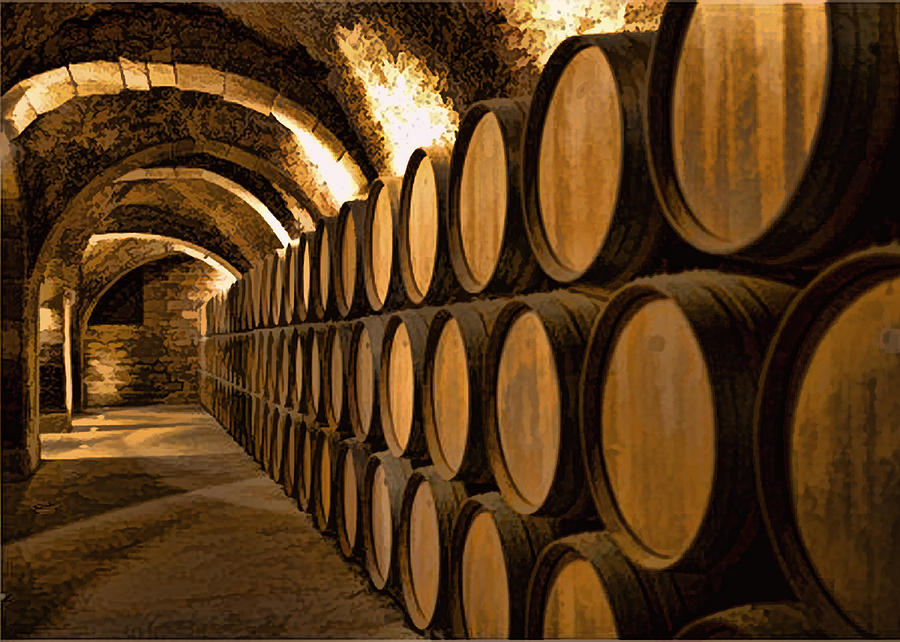alley-of-barrels-at-the-winery-elaine-plesser.jpg