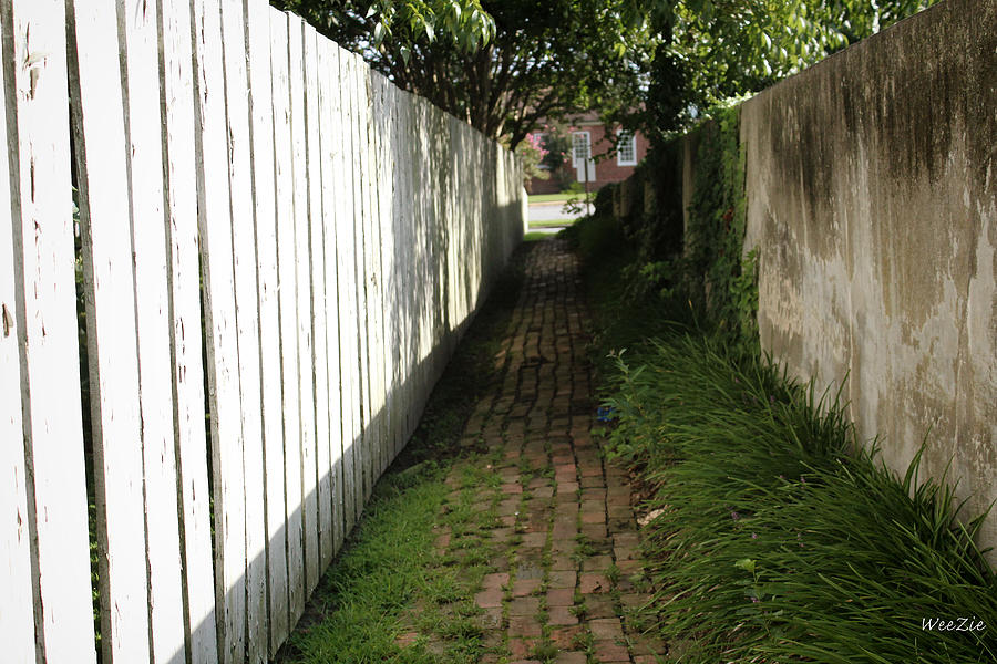 Alley Way Photograph
