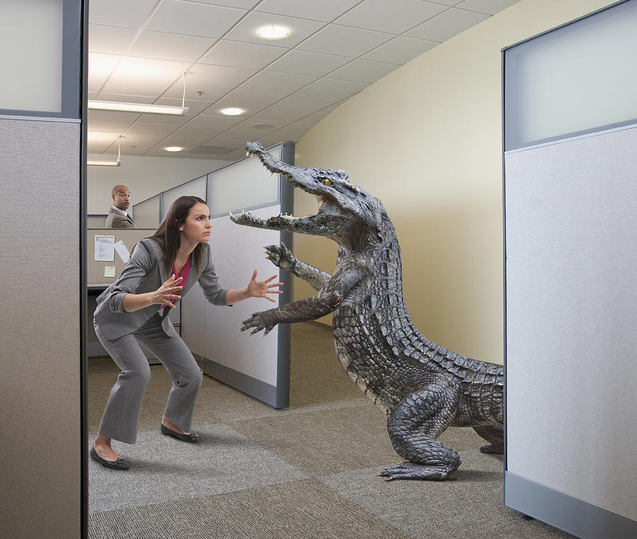 Alligator attacking businesswoman in office cubicle Photograph by John M Lund Photography Inc