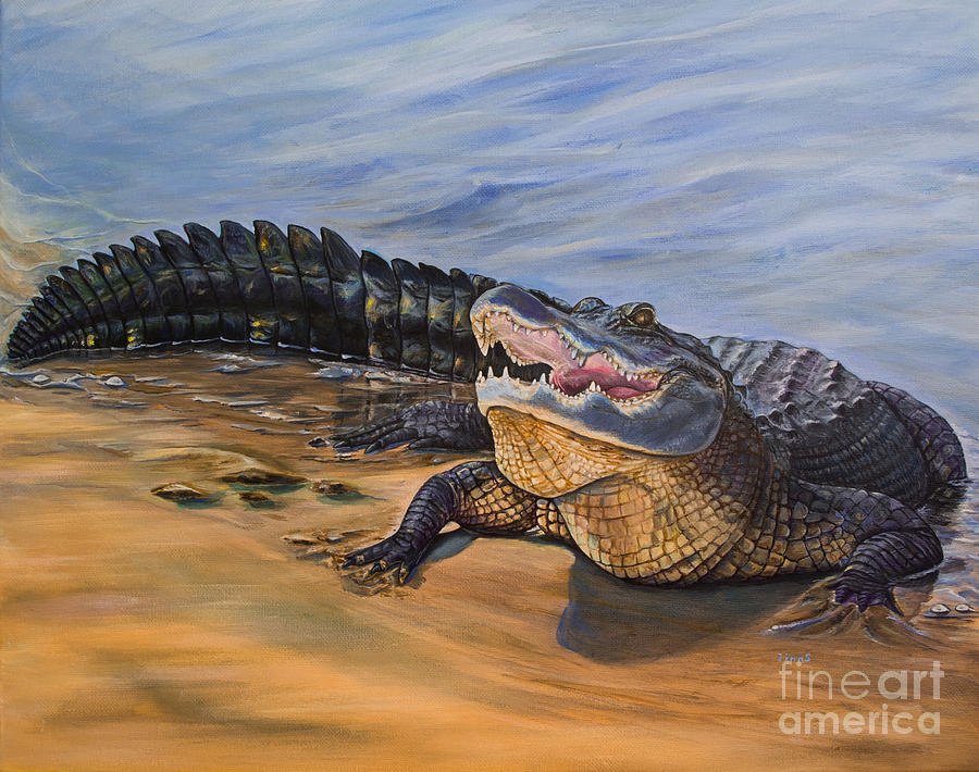 Alligator. Face to face Painting by Zina Stromberg - Fine Art America