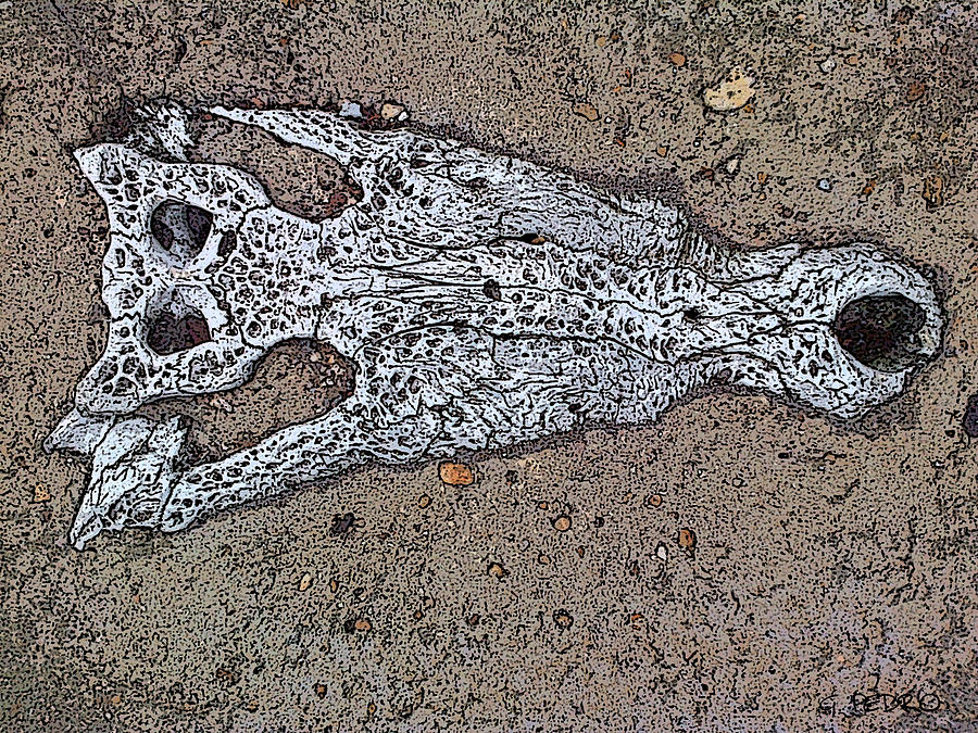 Alligator Skull Fossil 1 Painting