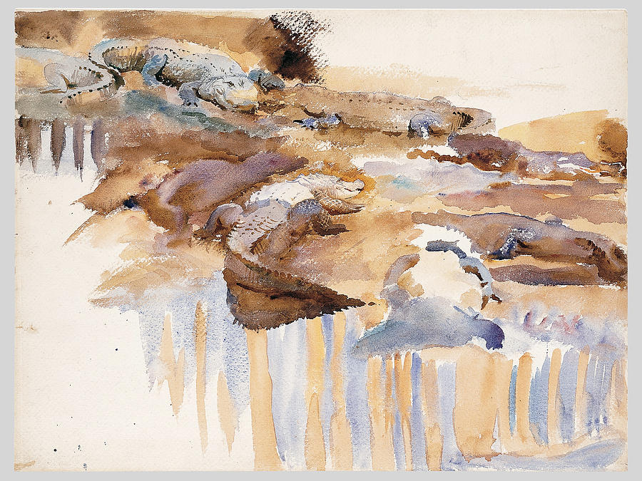 John Singer Sargent Painting - Alligators by John Singer Sargent