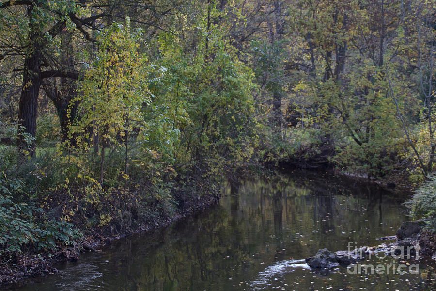 Allison Creek in the Fall Photograph by William Norton