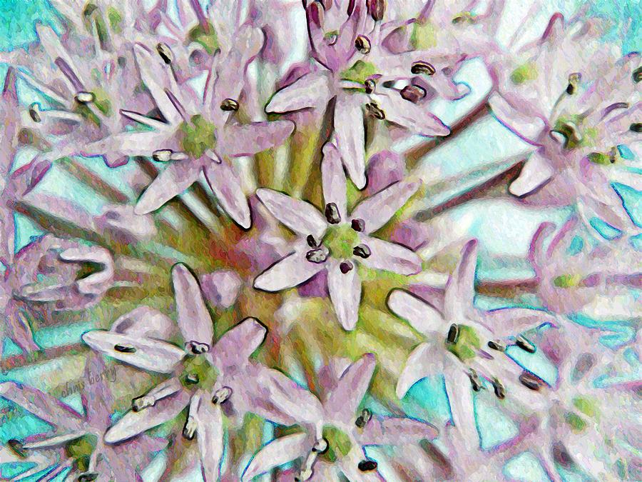 Allium Globe Photograph by Chris Berry