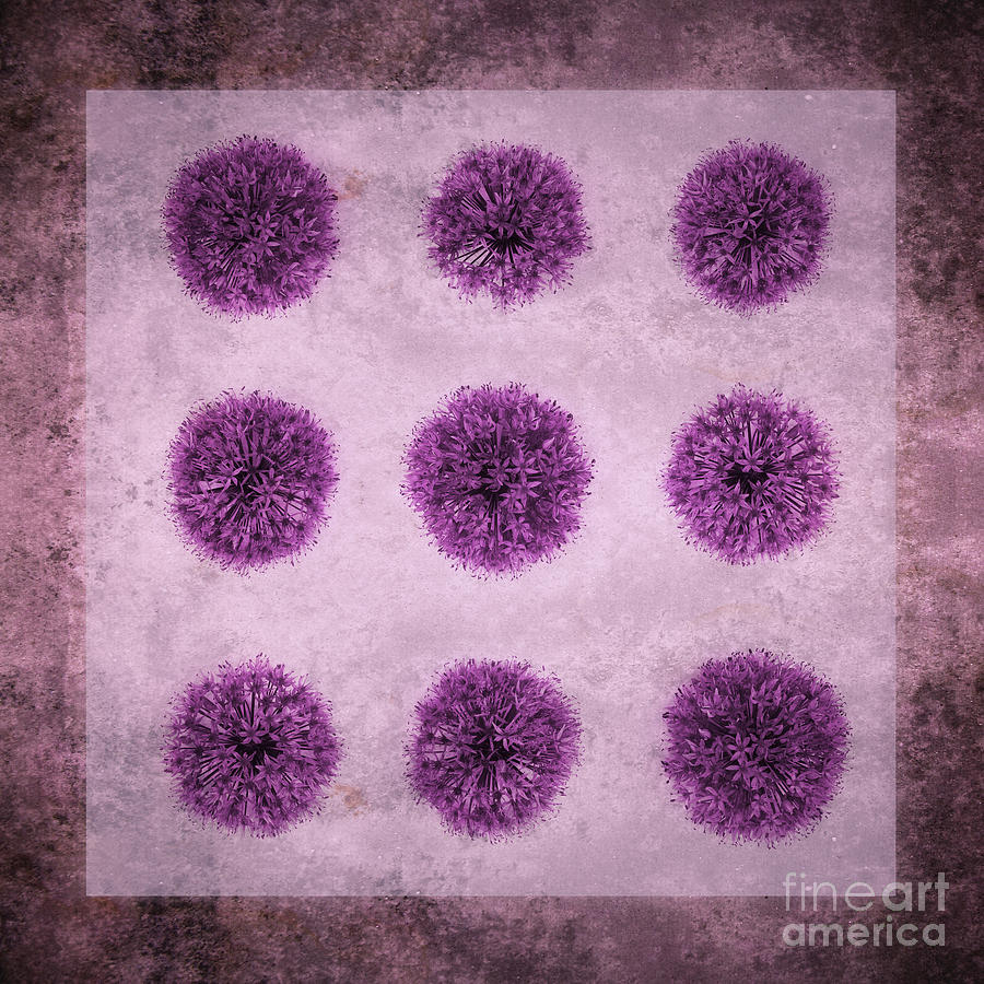 Nature Photograph - Allium Hollandicum Purple Sensation Pattern by Tim Gainey