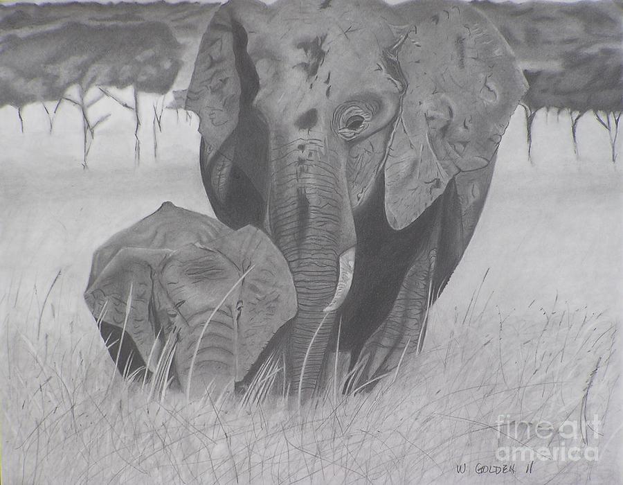 Elephants Drawing - Allmother by Wil Golden Elephants Drawing - Allmother by Wil Golden