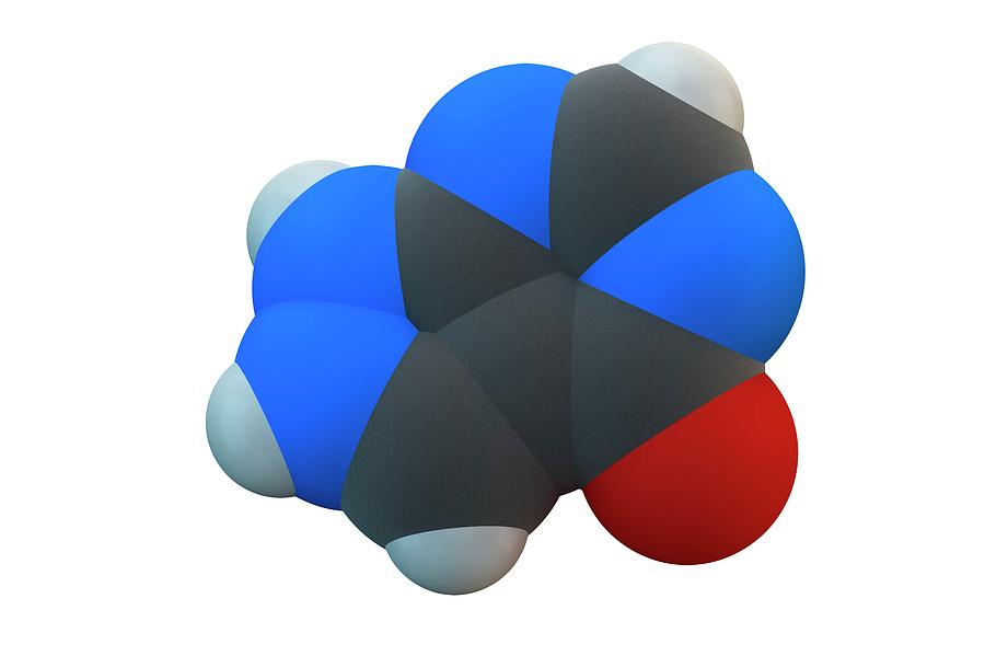 Allopurinol Gout Drug Molecule Photograph by Science Photo Library Allopurinol Gout Drug Molecule Photograph by Science Photo Library