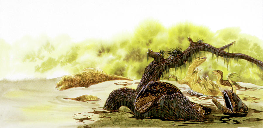 Allosaurus Dinosaurs Drowning Photograph by Deagostini/uig - Pixels