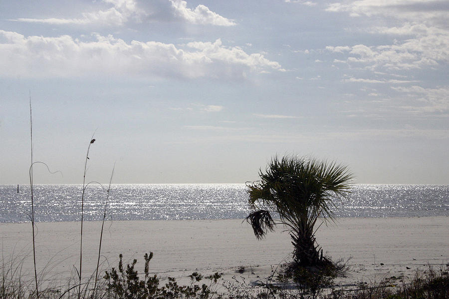 Alls Quiet On The Gulf Coast Photograph by Cora Wandel