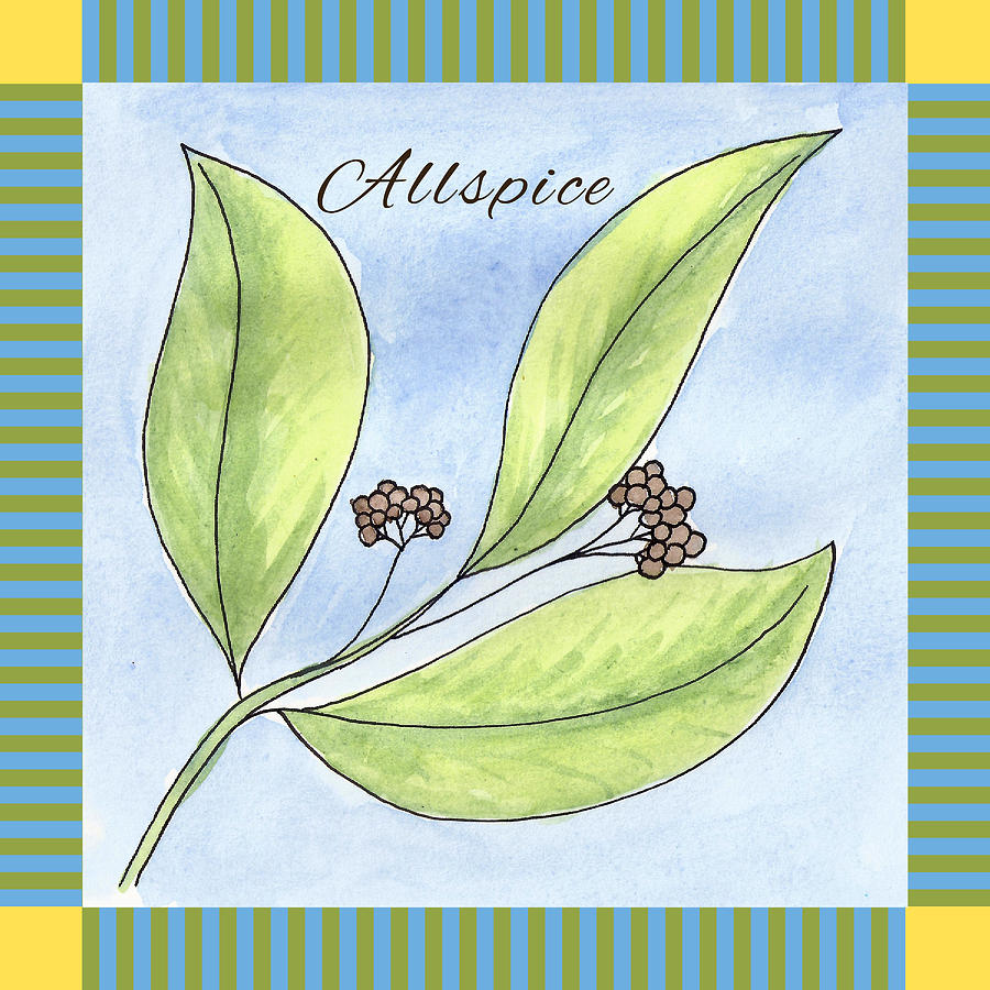 Allspice Illustration Painting by Christy Beckwith