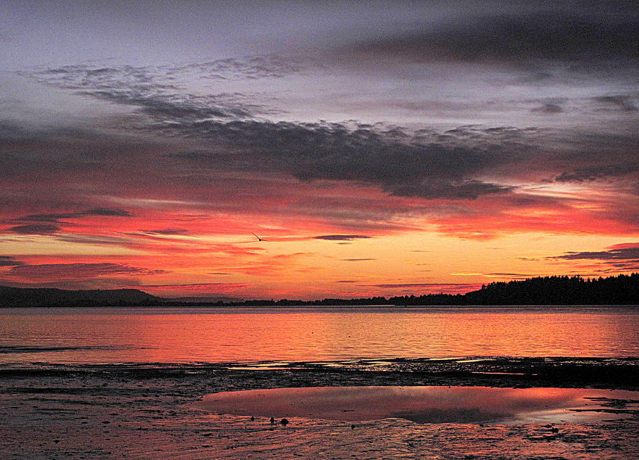 Alluring Sunset Photograph by Suzy Piatt