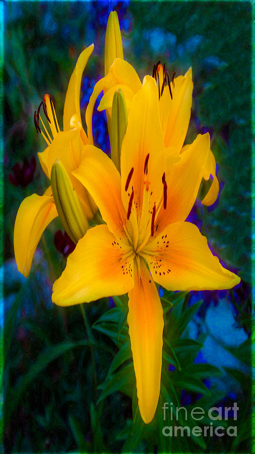 Alluring Yellow Lilies In An Abstract Garden by Omaste WItkowski Photograph by Omaste Witkowski