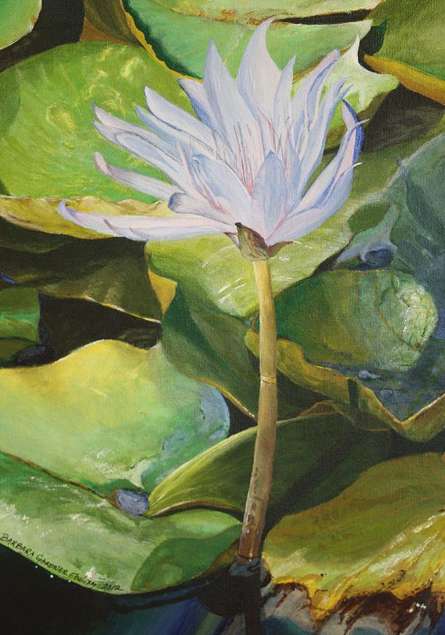 Almeria Water Lily Painting by Barbara Ebeling