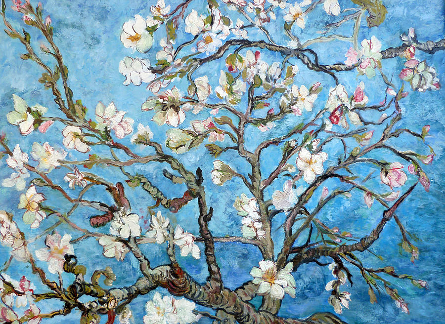 Almond Blossoms  Painting by Tom Roderick