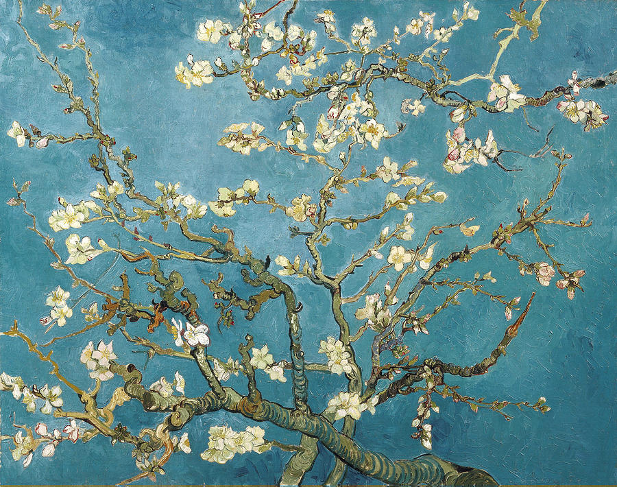 Vincent Van Gogh Painting - Almond Blossoms by Vincent Van Gogh