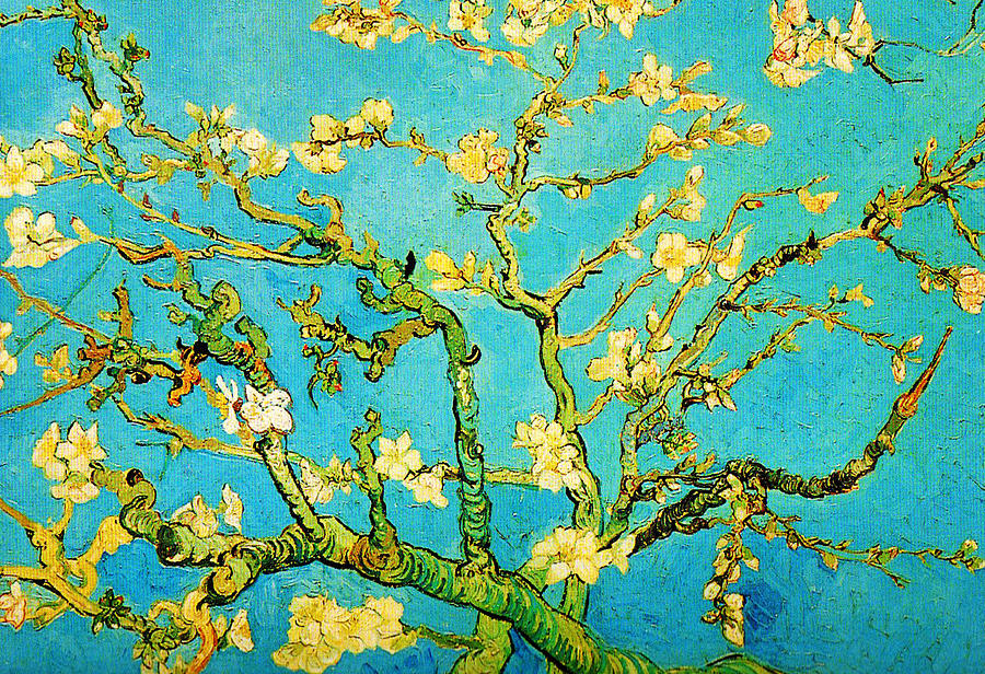 Vincent Van Gogh Painting - Almond Branches in Bloom by Celestial Images