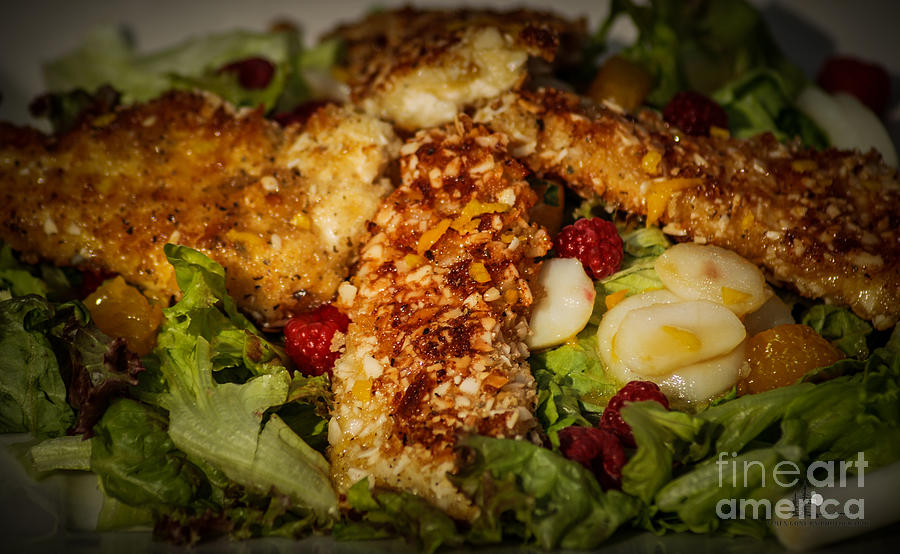 Almond Encrusted Chicken Salad 2 Photograph