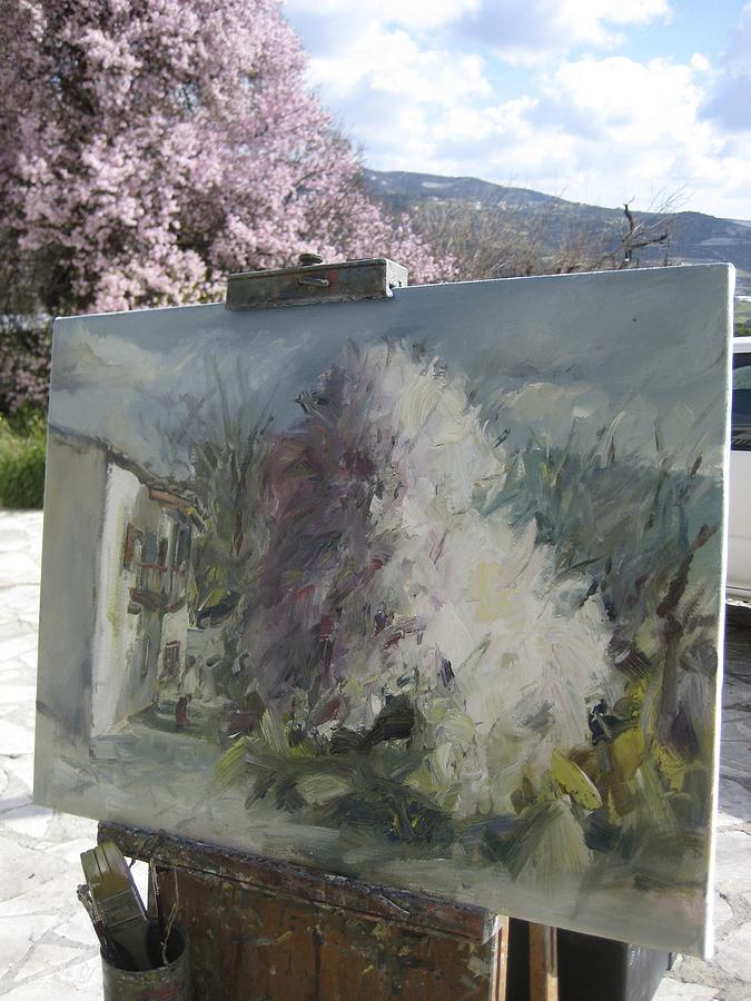 People Of Cyprus Painting - Almond Tree in full bloom by Paskalis Anastasi