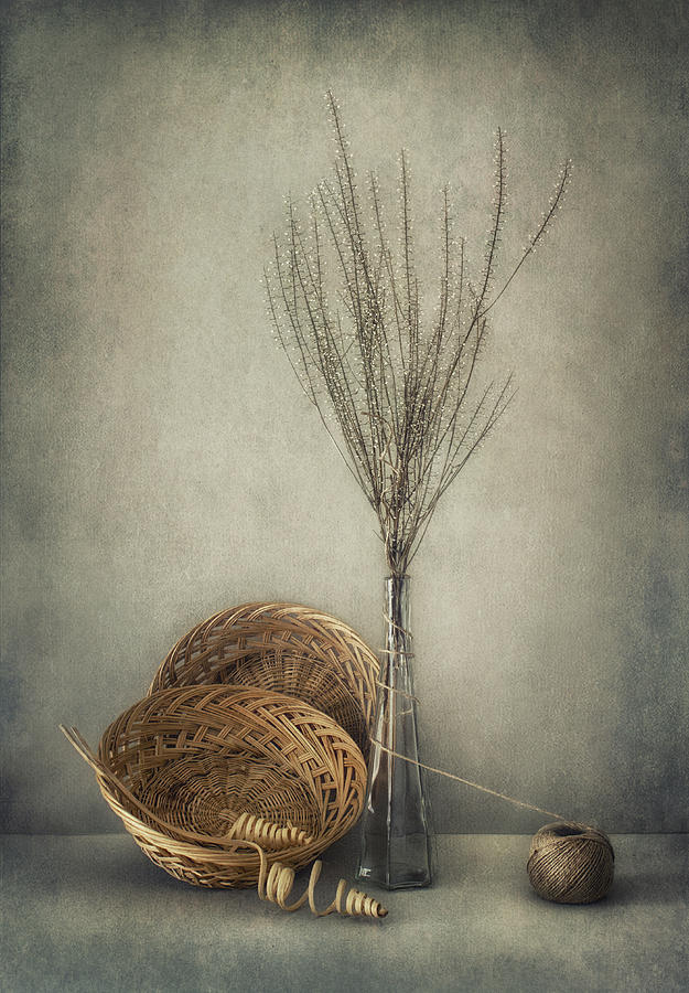 Still Life Photograph - Almost Autumn... by Dimitar Lazarov -
