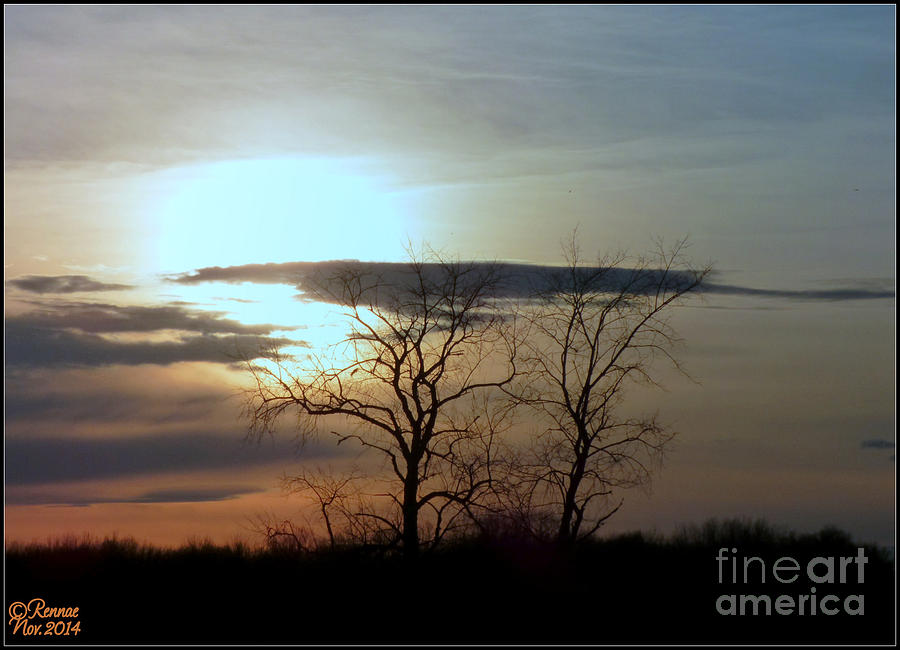 Landscape Photograph - Almost Sunset by Rennae Christman