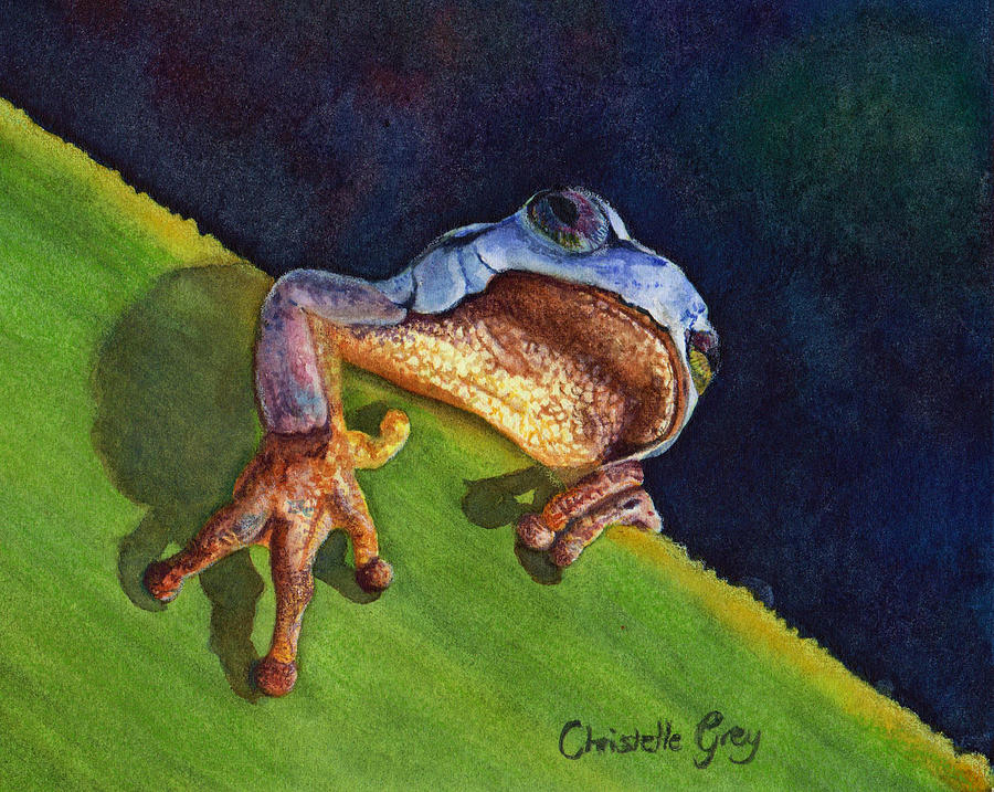 Frog Painting - Almost There by Christelle Grey
