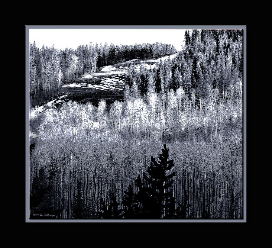 Almost Winter Photograph by Lucy VanSwearingen Almost Winter Photograph by Lucy VanSwearingen