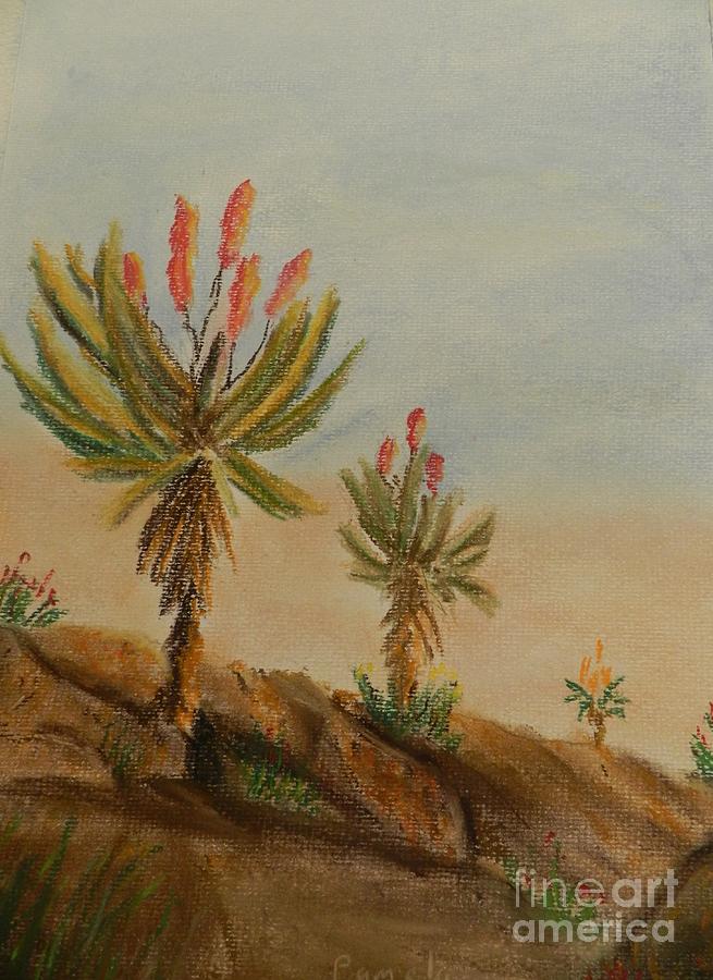 Aloes Painting