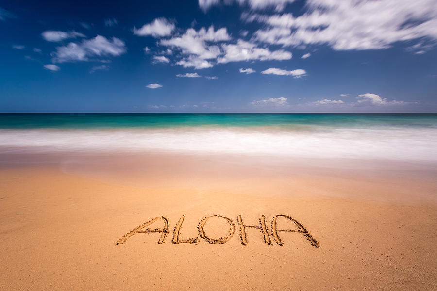Aloha Photograph by Pierre Leclerc Photography