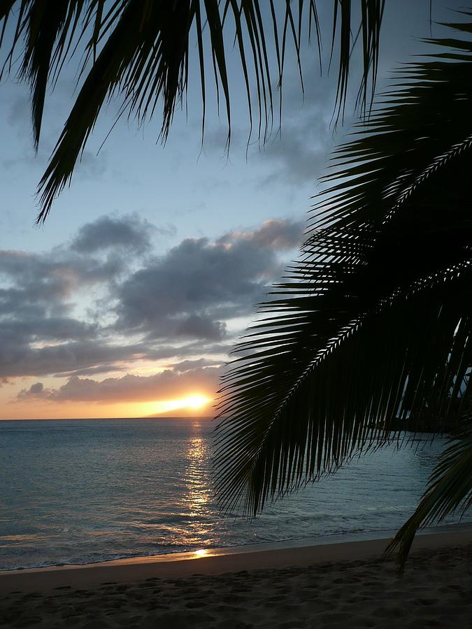 Aloha Sunset Photograph by Terry Wade - Fine Art America